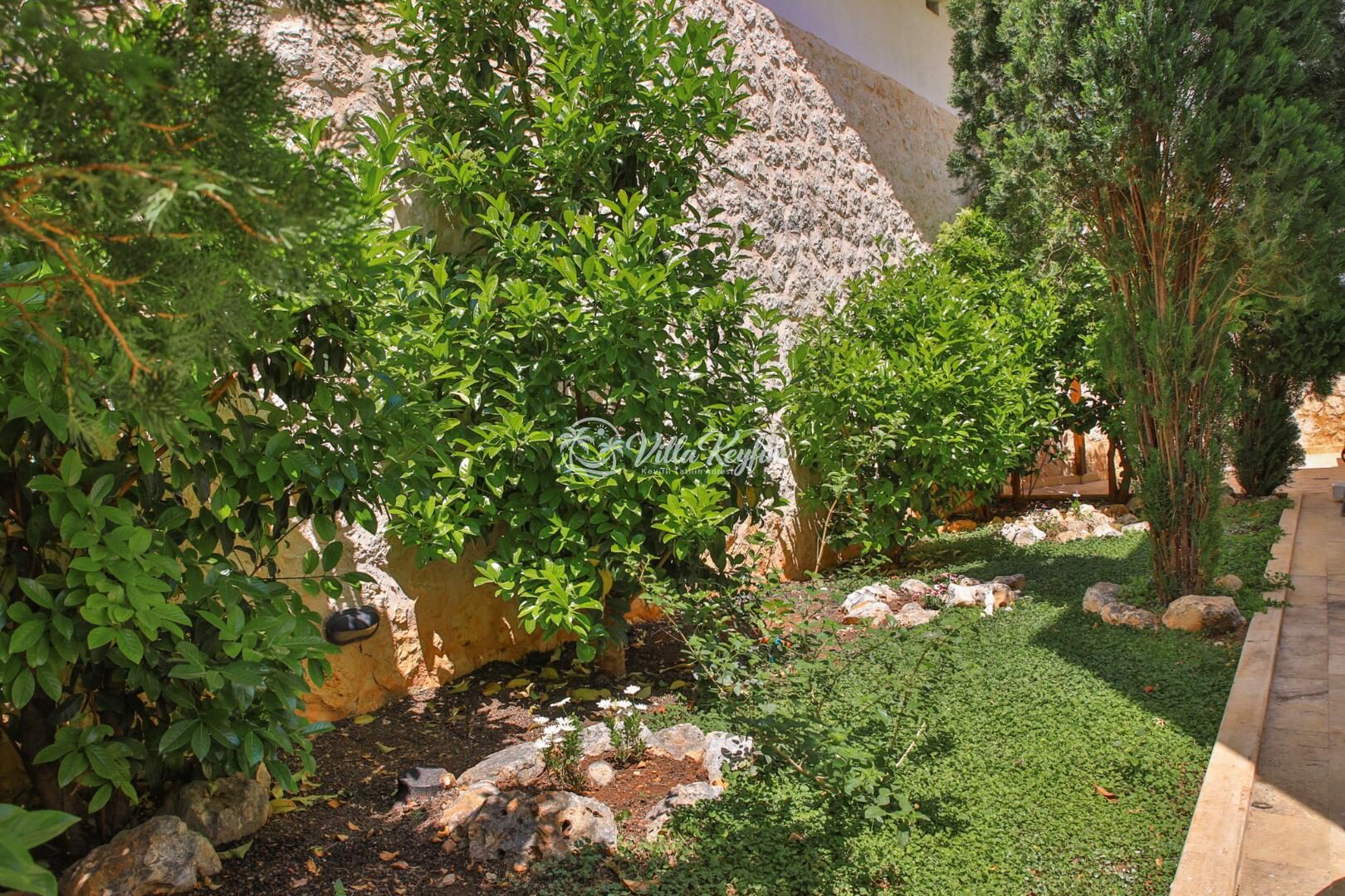 Villa Serta — 12