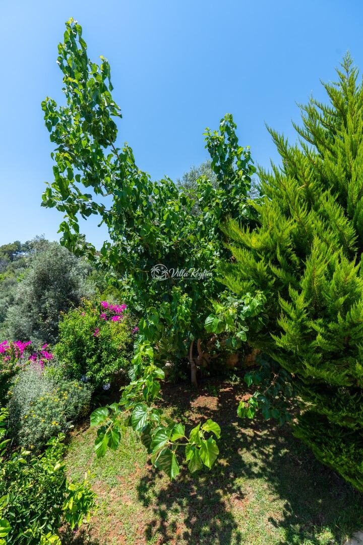 Villa Narin 9 — 24