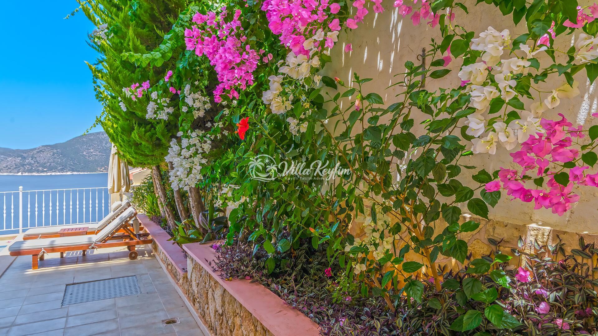 Villa White Star — 54