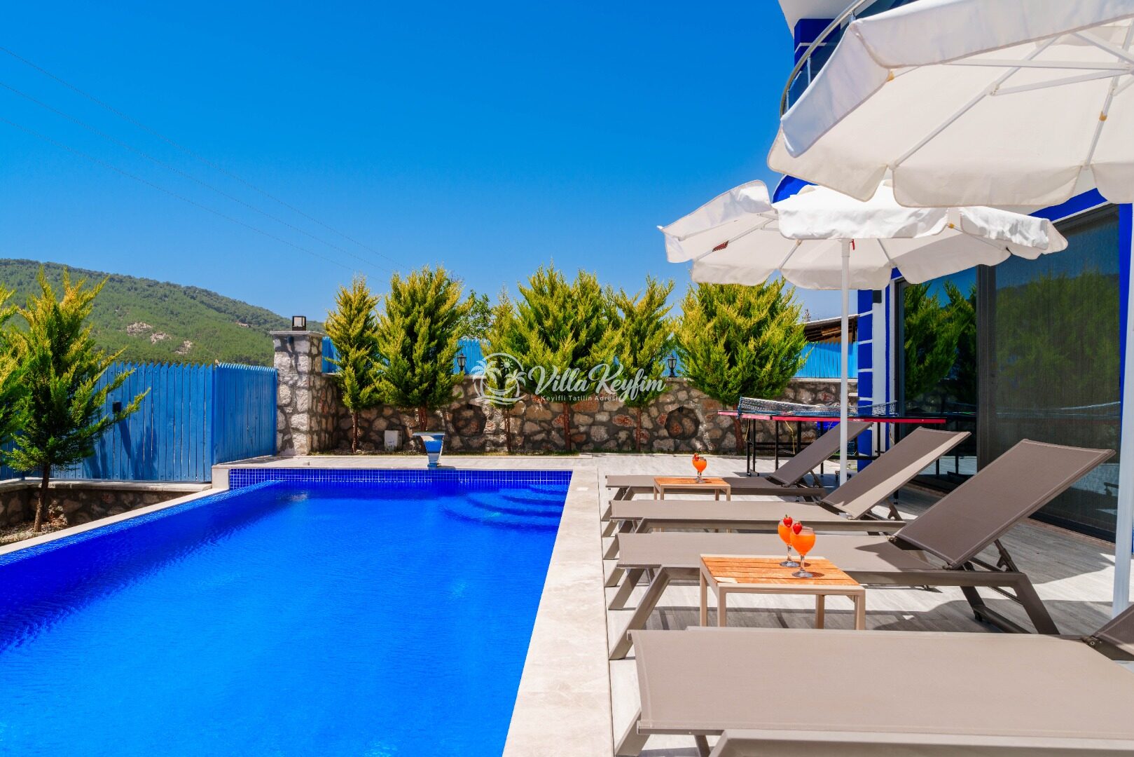 Villa Palmira Sarıbelen — 67