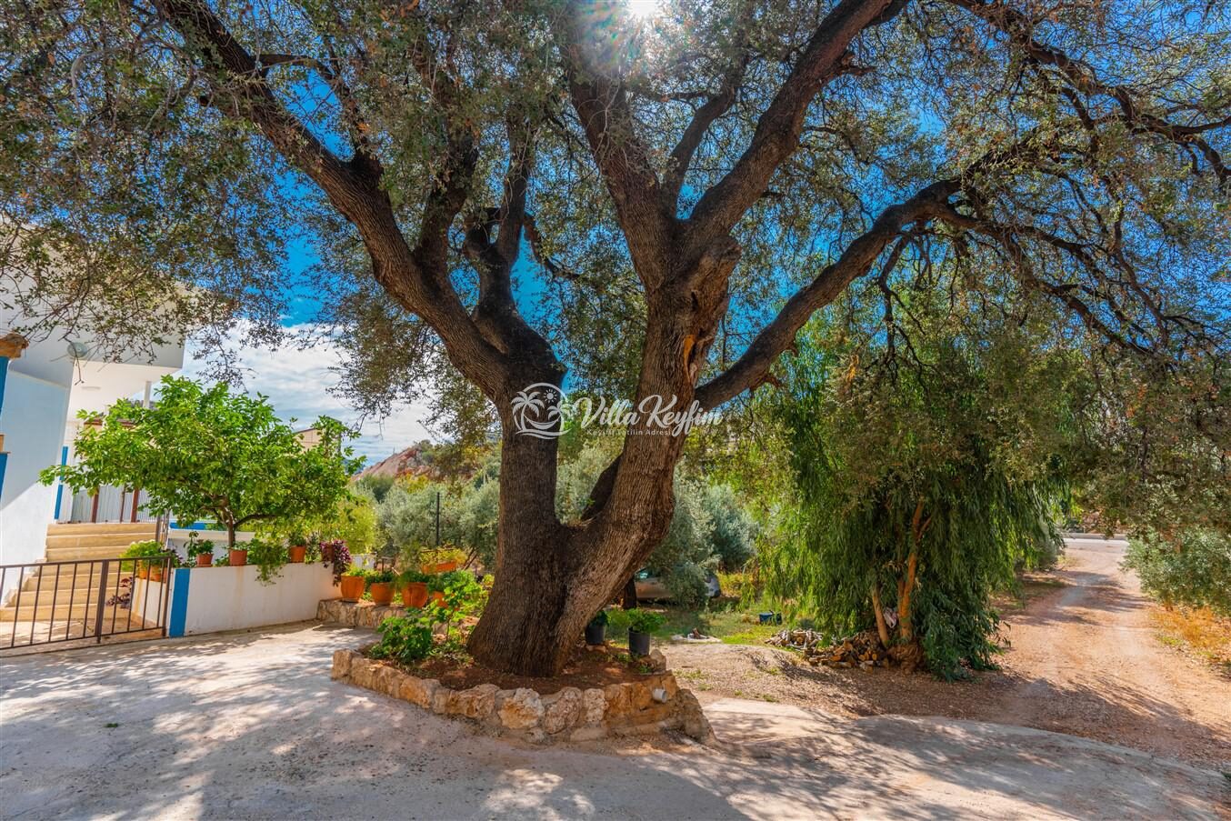 Villa Eski Halil — 8