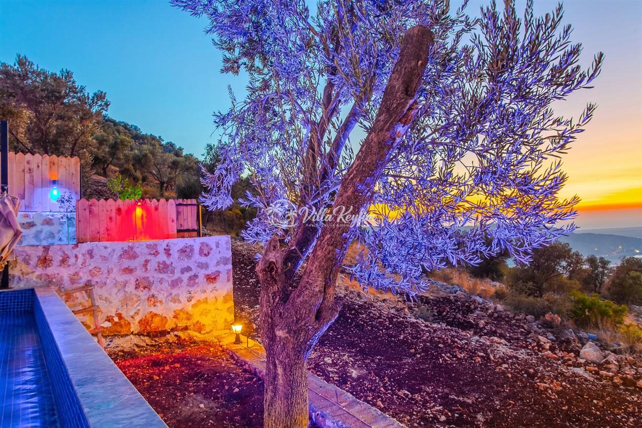 Villa Yiğit 2 — 9
