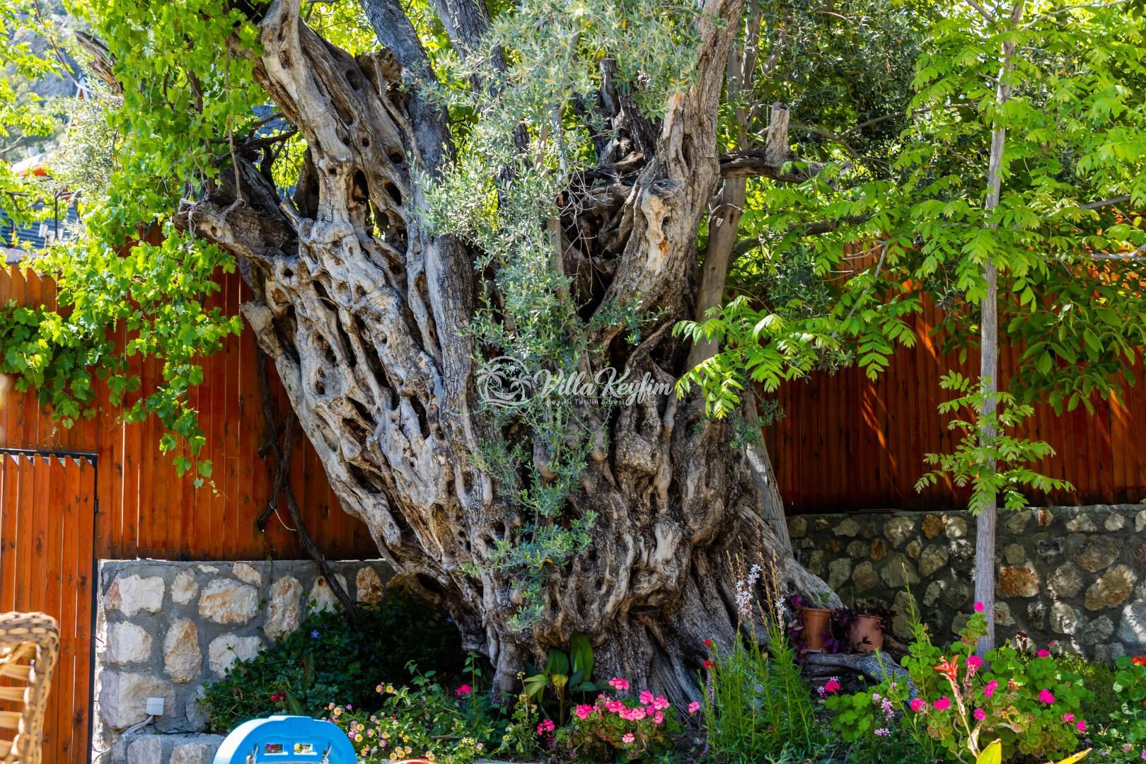 Villa Esil — 52