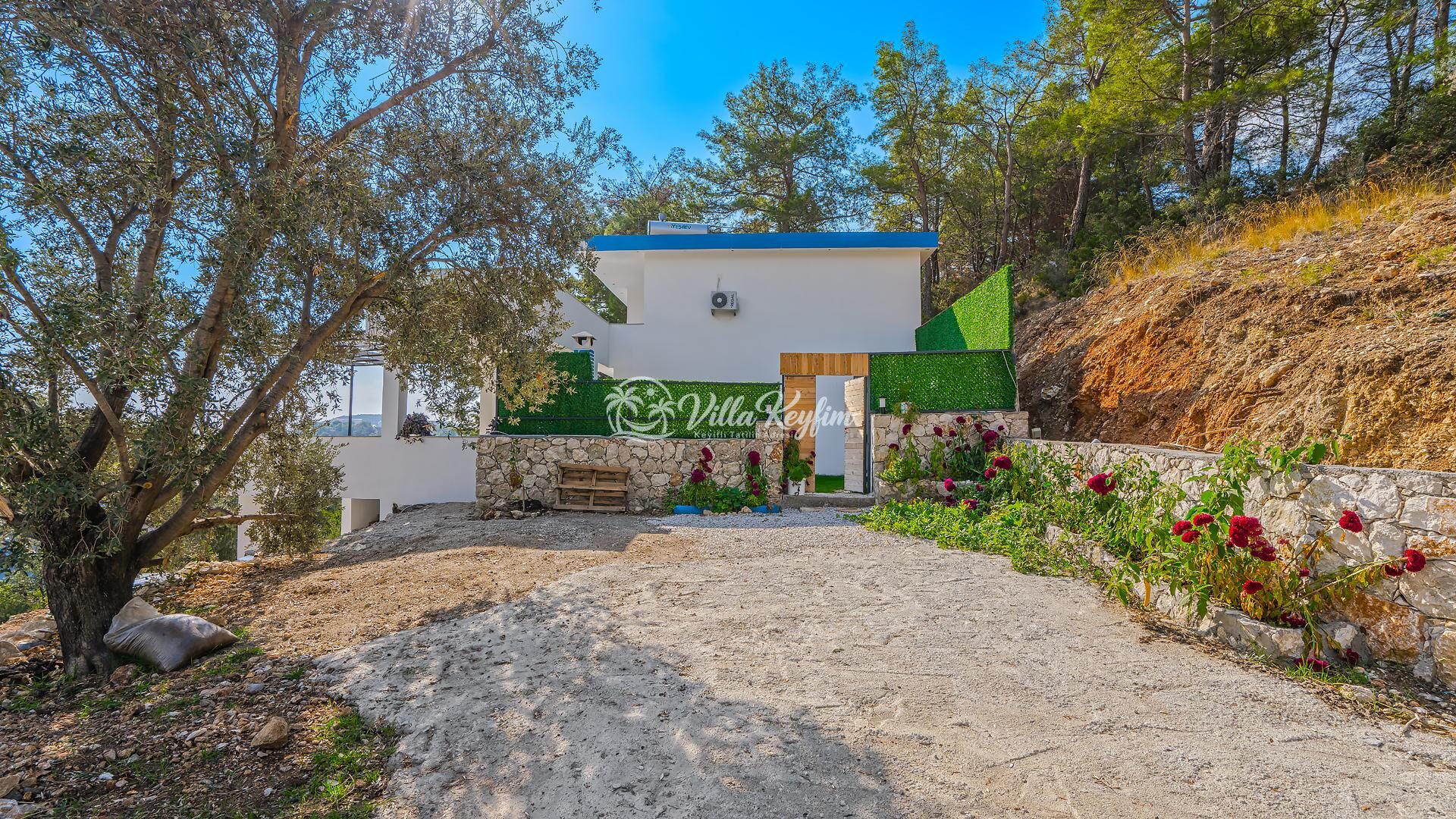 Villa Bozo 2 — 42