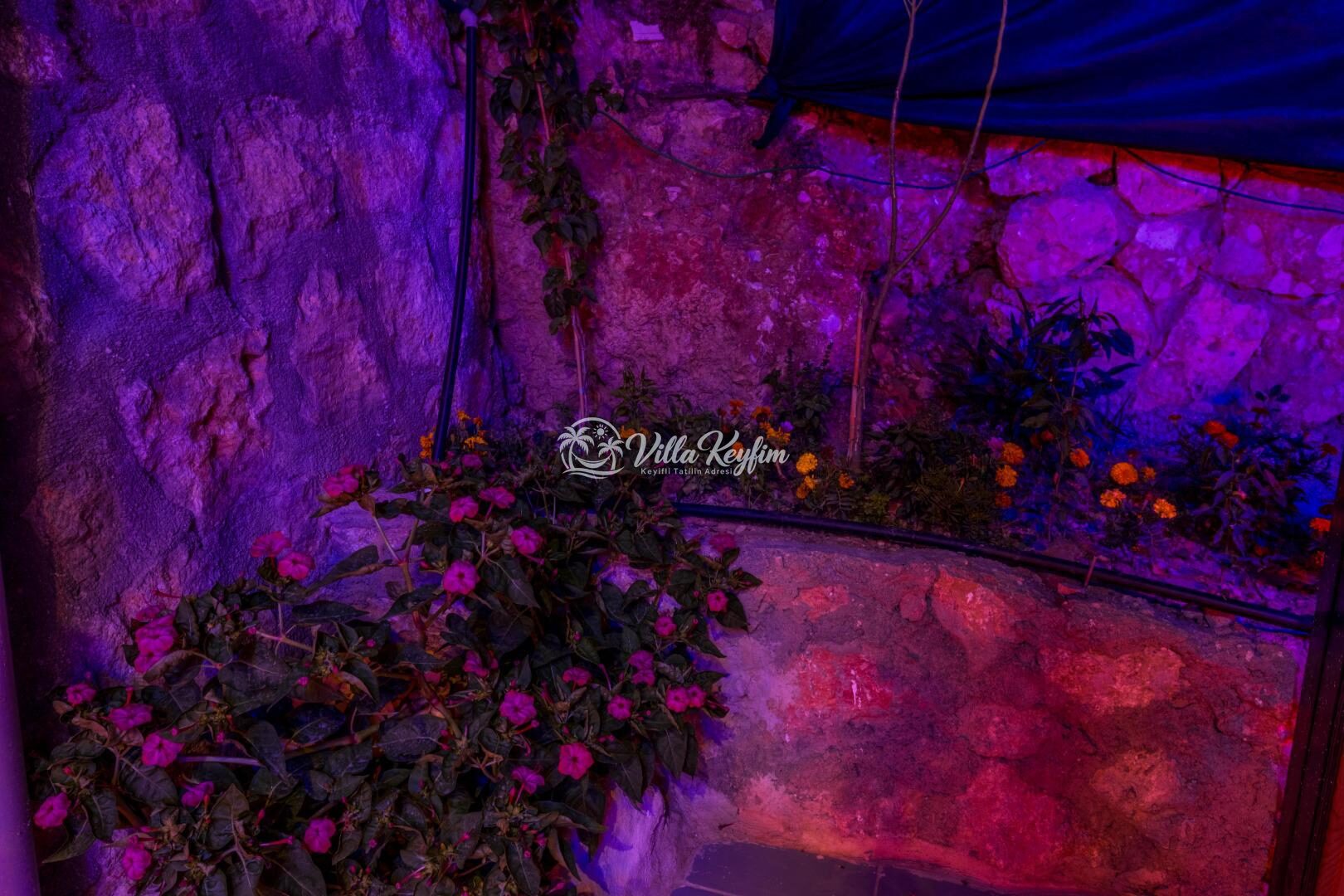 Villa Meri — 45