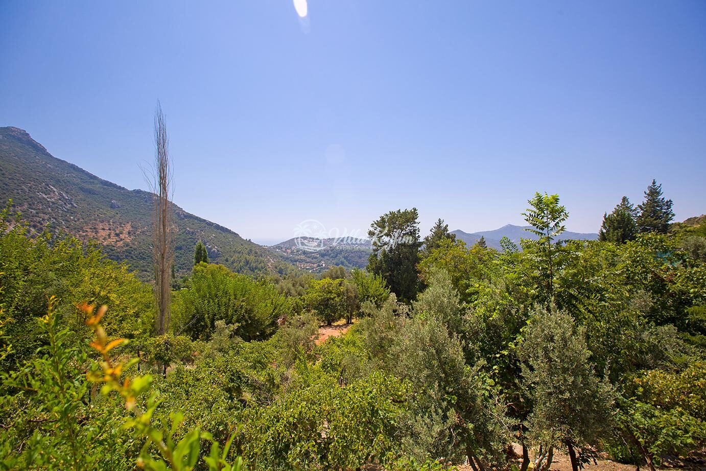 Villa Muar — 13