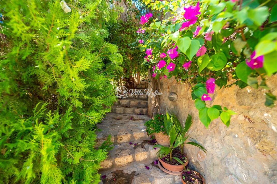 Villa Melisa 1 — 47