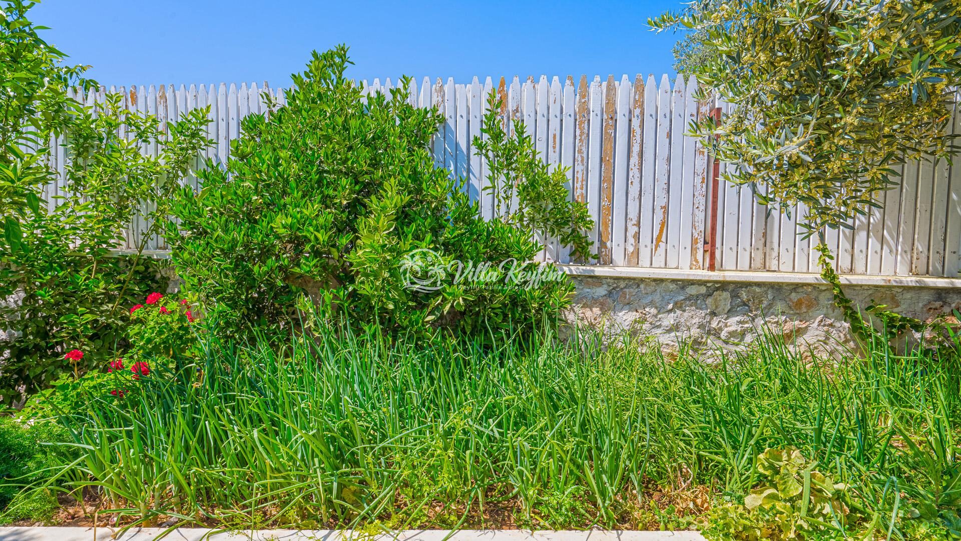 Villa Emma — 49