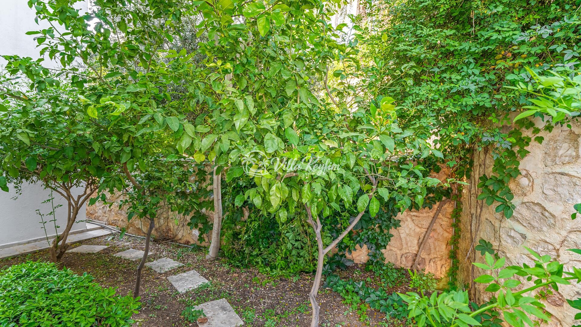 Villa Zeytouna — 34