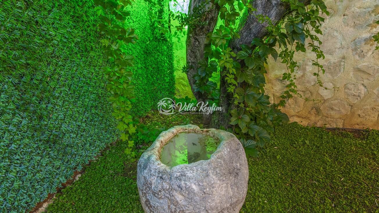 Villa Monolisa — 56