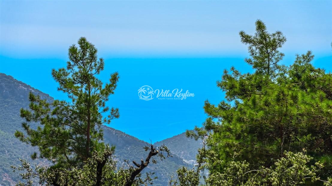 Villa Davidof — 34