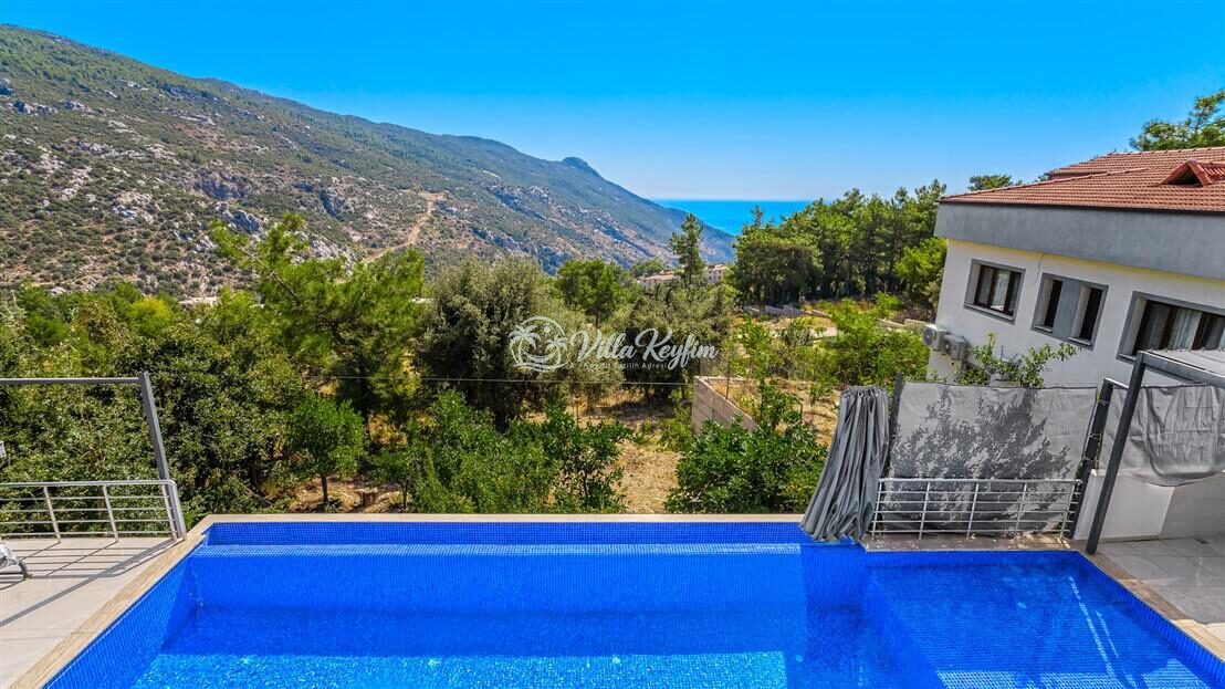 Villa Davidof — 42