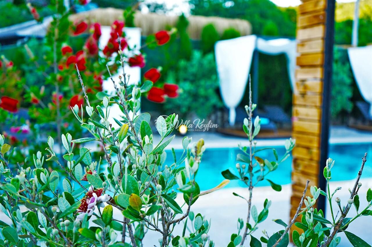 Villa Mamon Luxury Life — 157