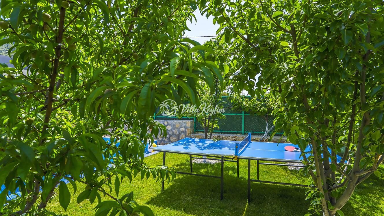 Villa Sakız Sarıbelen — 13