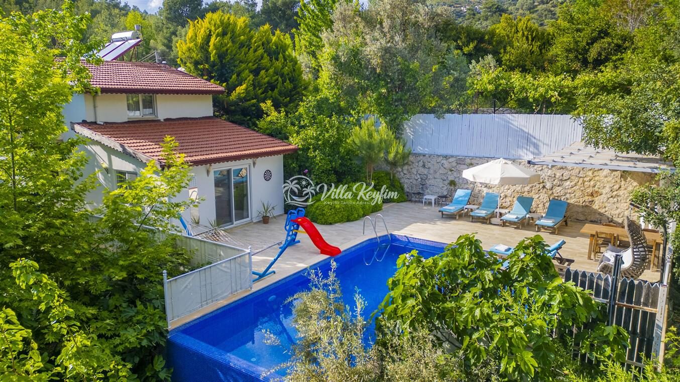 Villa Botanik — 6