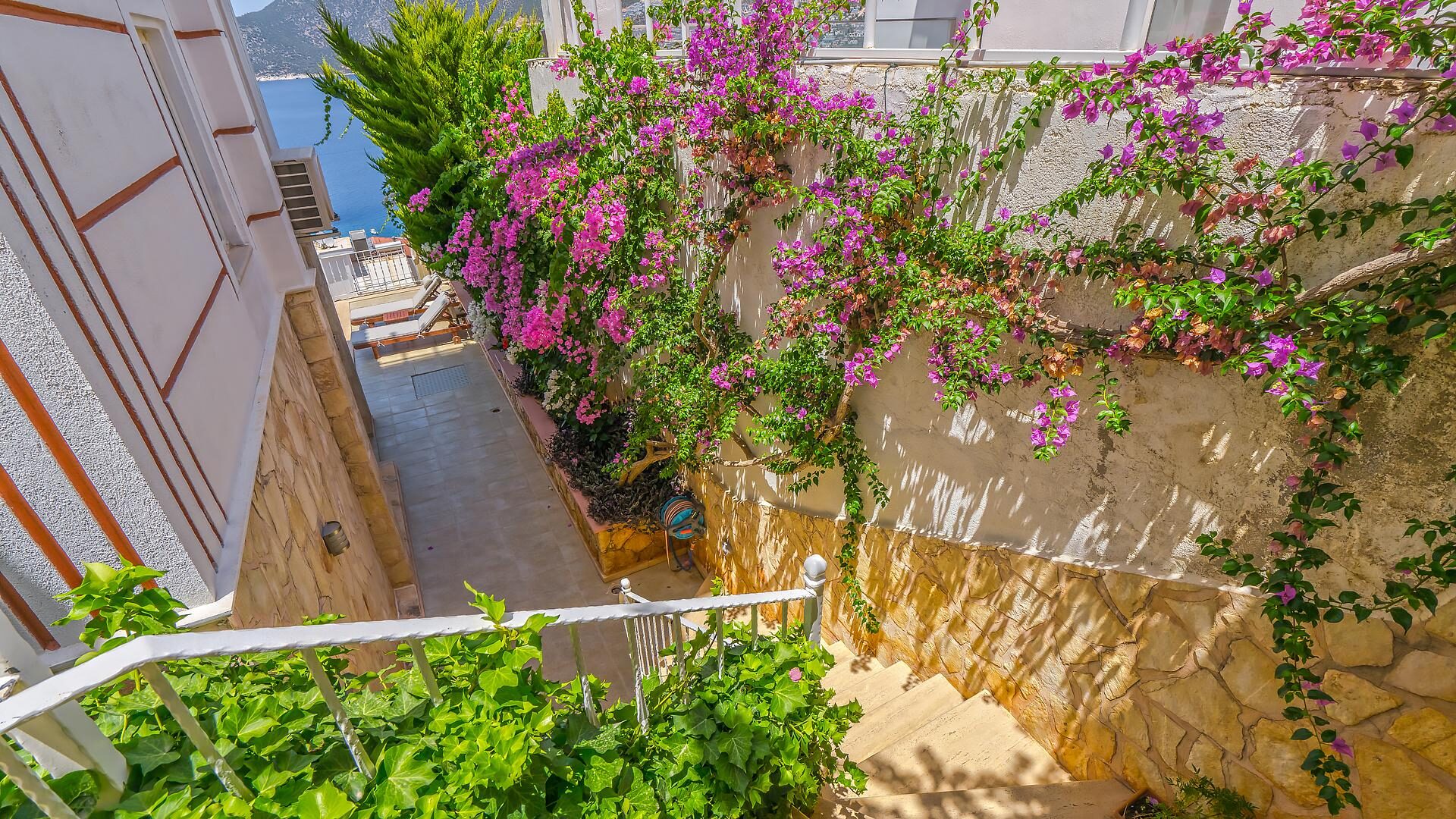 Villa White Star — 53