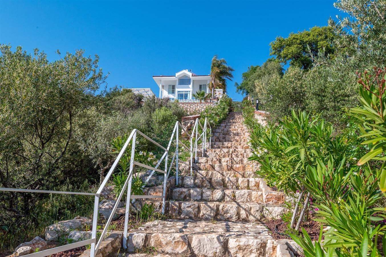 Villa Elana 1 — 68