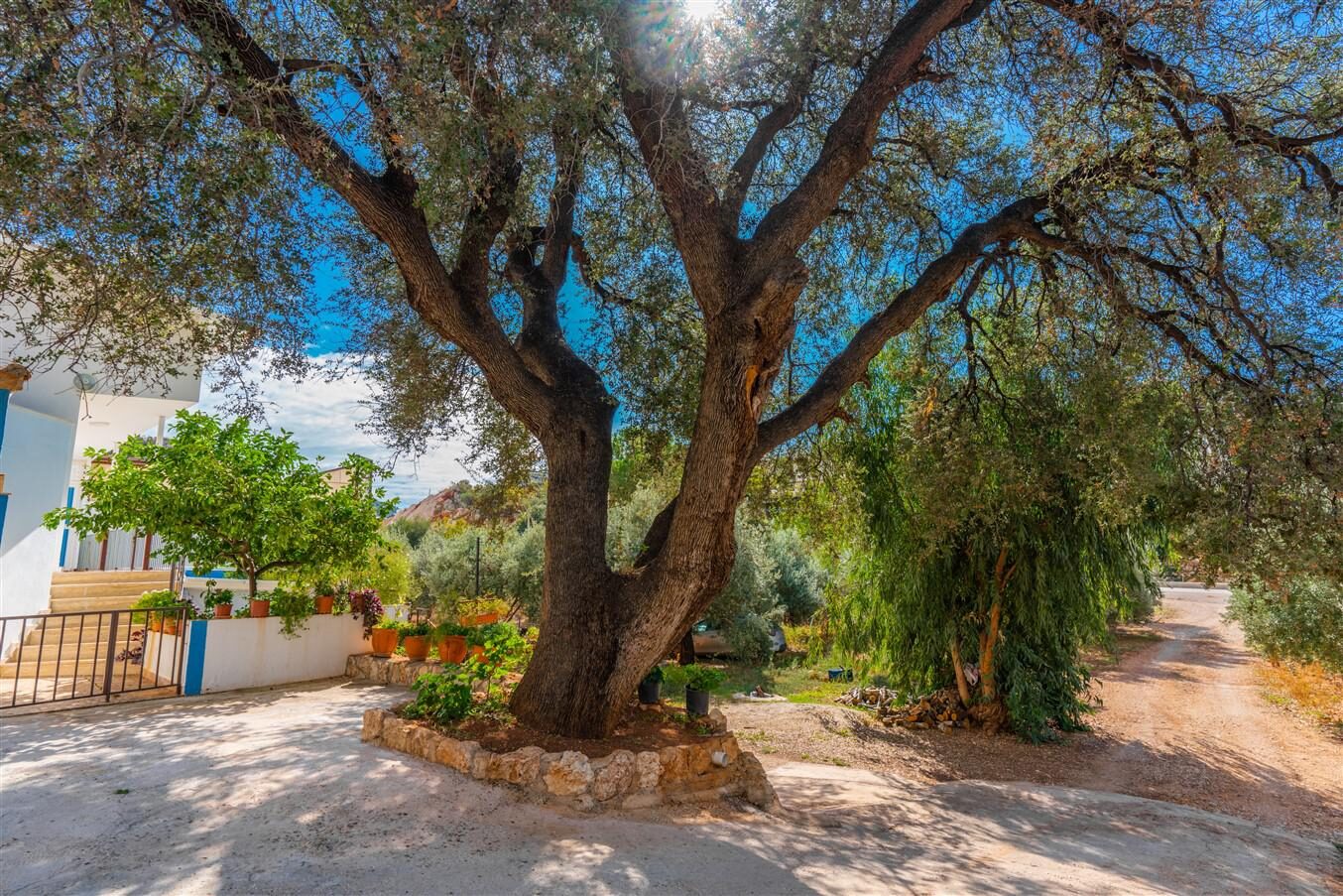 Villa Eski Halil — 8