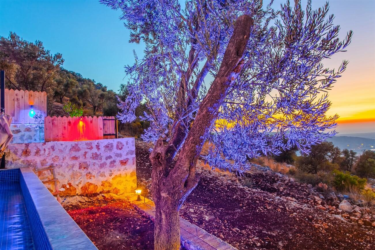Villa Yiğit 2 — 9