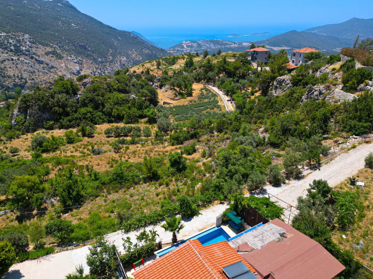 Villa Tepes — 76