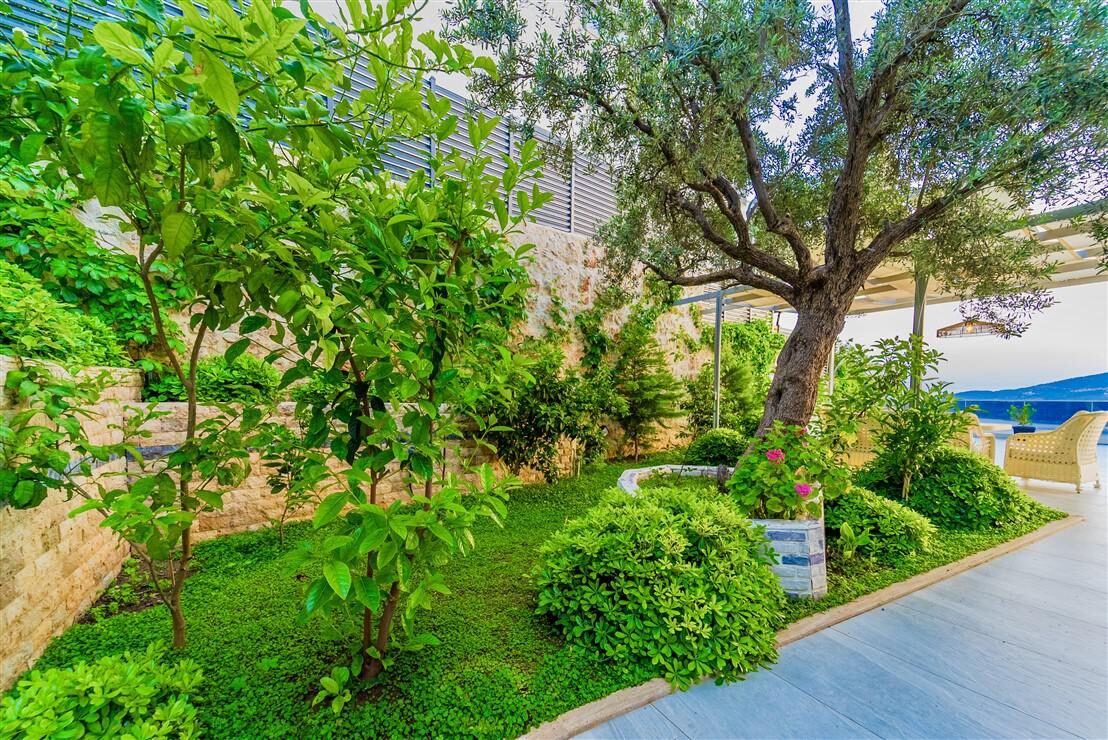 Villa July — 22