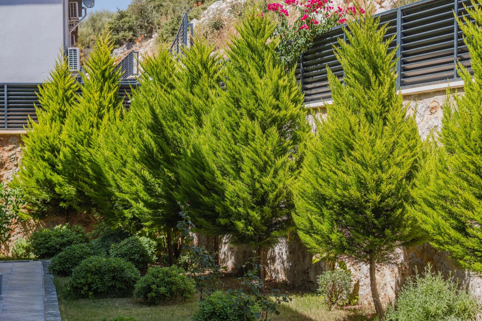 Villa Melida Trio — 62
