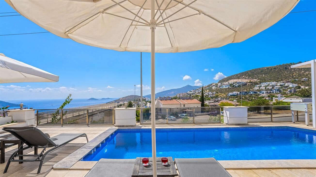 Villa Palm — 15