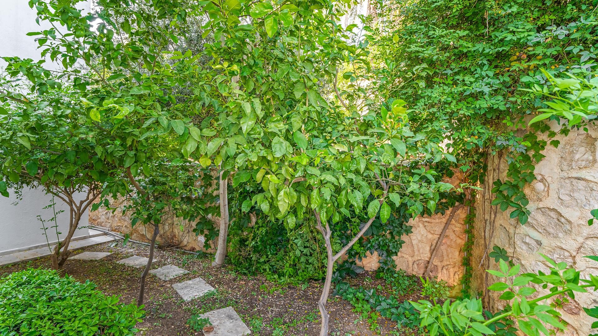 Villa Zeytouna — 34