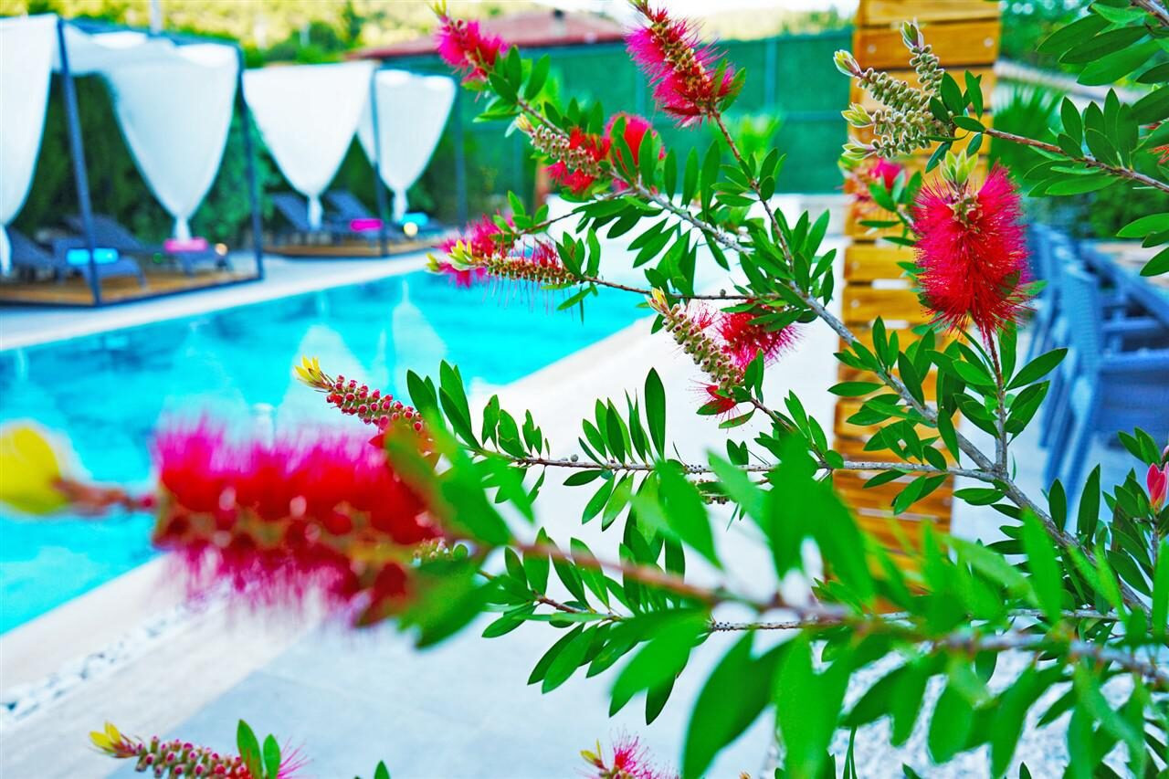 Villa Mamon Luxury Life — 32