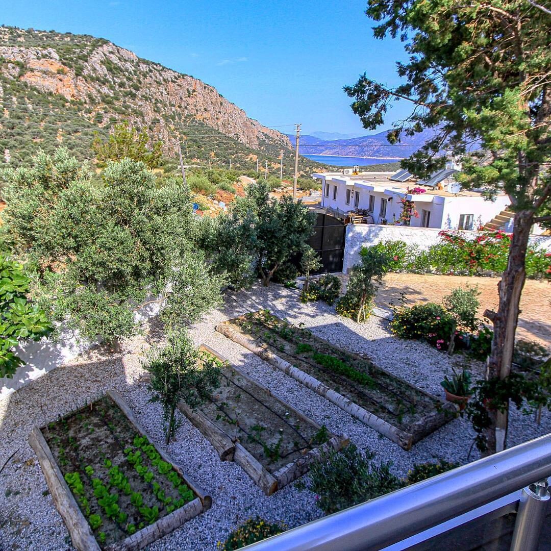 Villa Aristo — 17