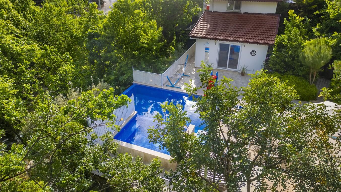 Villa Botanik — 7