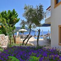 Villa Dionysus — 49