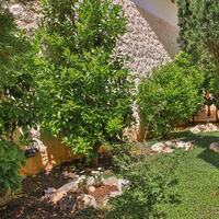 Villa Serta — 12