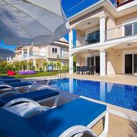 Villa Polo Three — 1