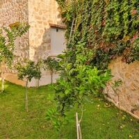 Villa Maysa — 28