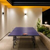 Villa Renk — 47