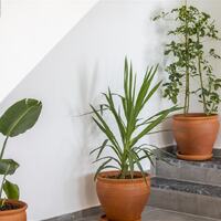 Villa Larmina — 33