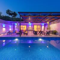 Villa Platin — 12