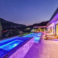 Villa Free — 8