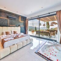 Villa Free — 28