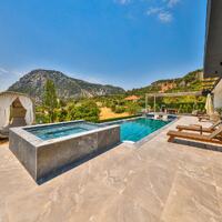 Villa Free — 74