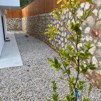 Villa Mustang — 53
