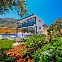 Villa Black Rose — 7