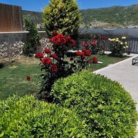 Villa Camdibi — 24