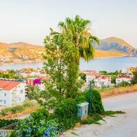 Villa Amore — 44