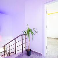 Villa Luka — 36