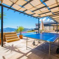 Villa Tiger Exclusive — 41