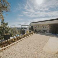 Villa Oliva — 22