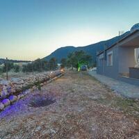 Villa Olives — 34