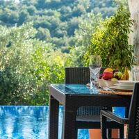 Villa Ege Ordu — 22